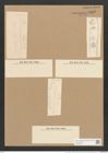 Nitzschia lorenziana var. subtilis Grun. (de-Toni-Nr.: Genus 47, Species 2150) Zeichnungen Sammlung Grunow Nr. 4342 (NHMW-BOT-W0372379)